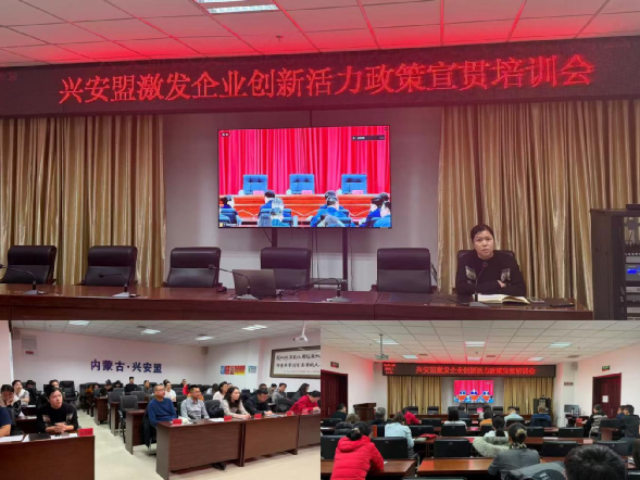 三部门联合举办政策宣贯培训，精准聚力激发企业创新活力